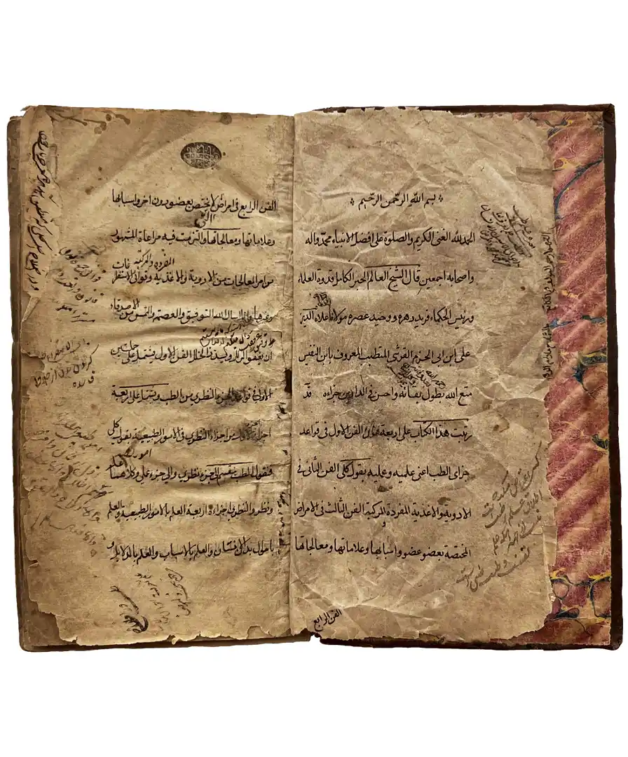 الموجز فی الطب