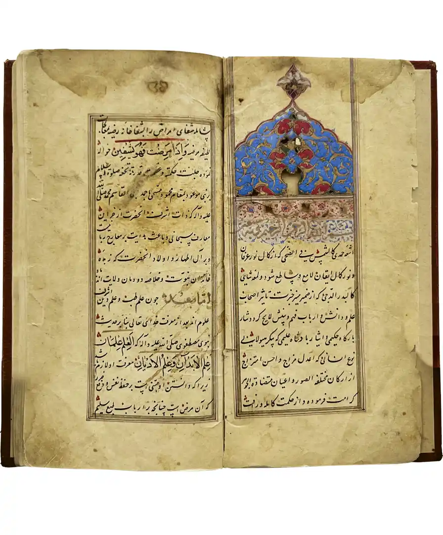 رساله در طب